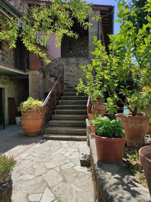 Petreto Il Giardino Dei Limoni Apartment Castiglion Fiorentino Exterior photo